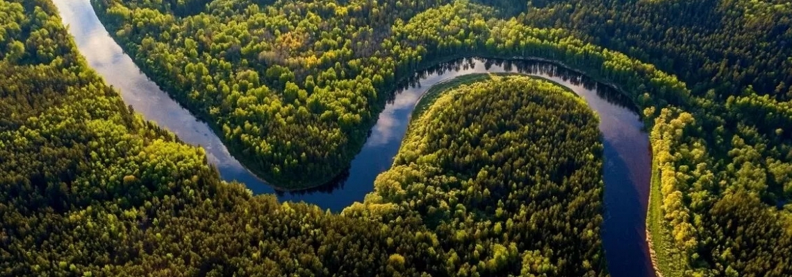Amazônia Legal: desmatamento cai 61% em janeiro