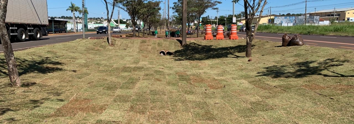 Solurb começa a substituir vegetação dos canteiros da Capital por grama esmeralda